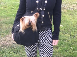 Sac bandoullière pour petit chien